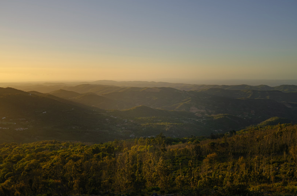 Renature Monchique: Reforesting Portugal’s Burnt Beauty 🌱