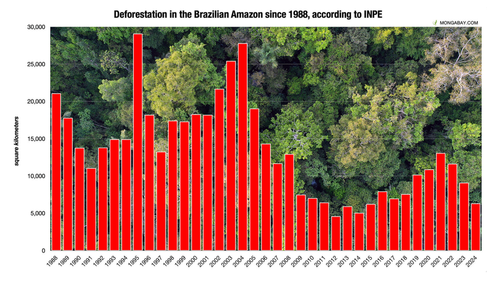 Brazil’s Amazon Deforestation Drops to 9-Year Low 🇧🇷