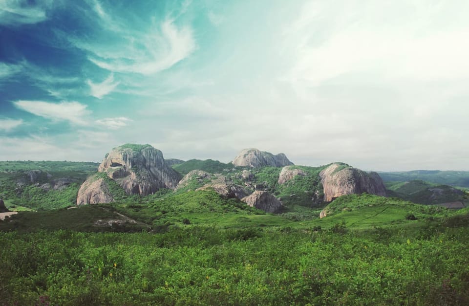 Native Seed Laws Challenge Brazil’s Reforestation 🌱🇧🇷