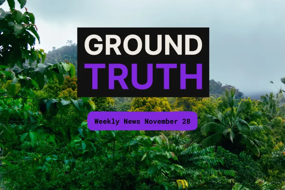 Ground Truth Weekly Forest News November 28 📰