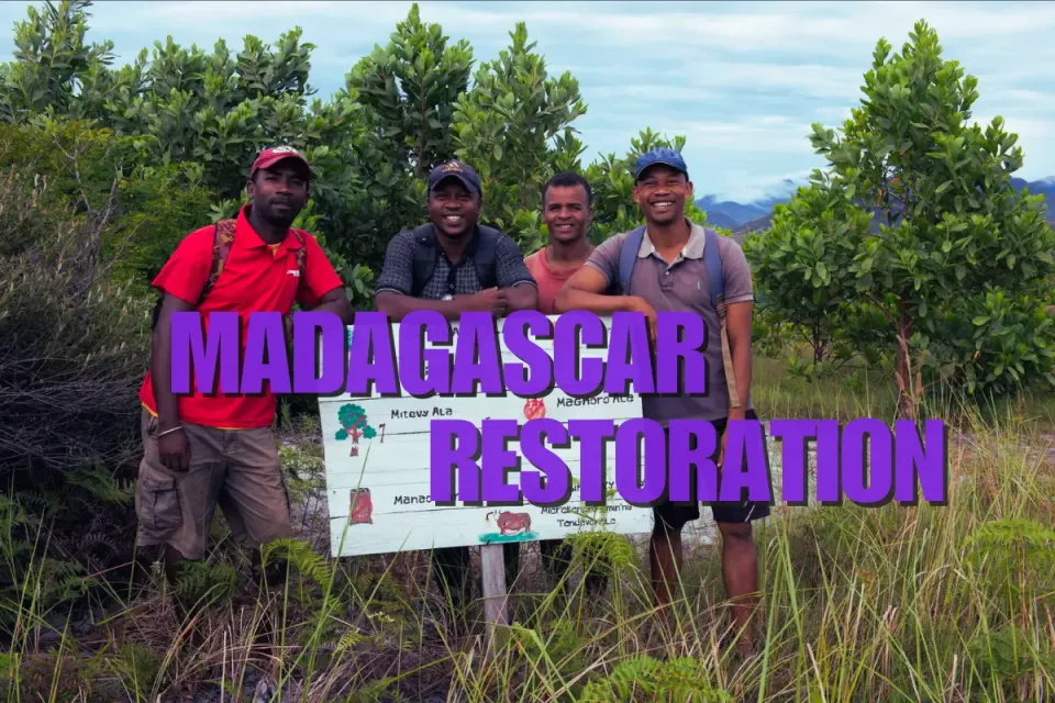 Reviving Madagascar’s Sainte Luce Littoral Forest