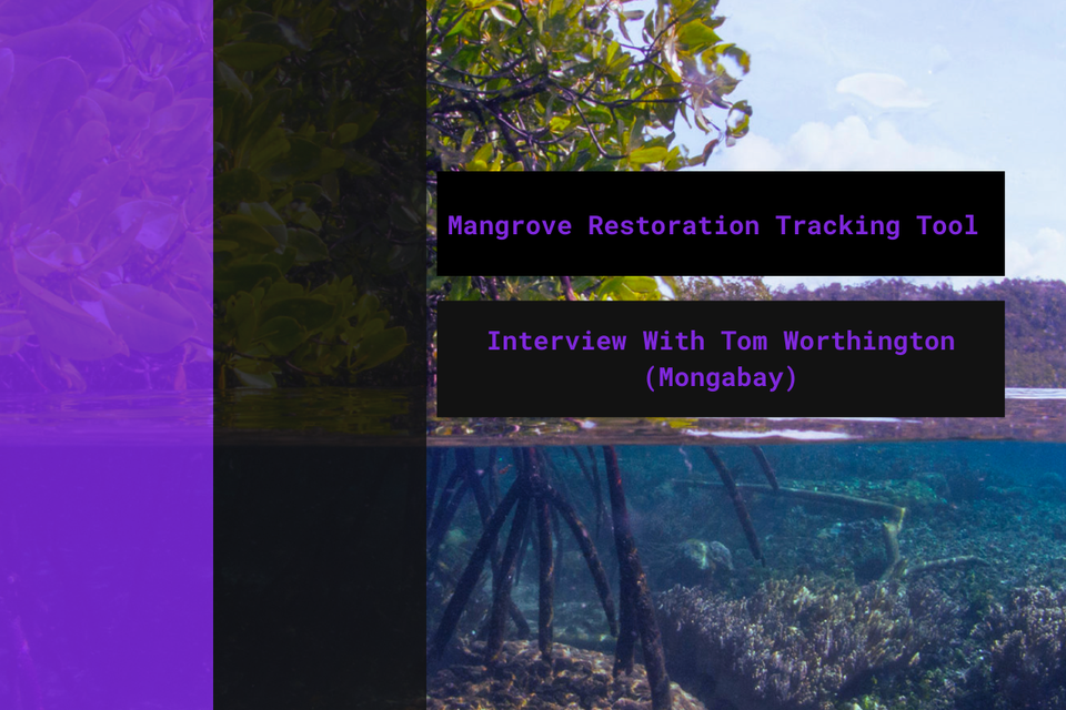 Mangrove Restoration Tracker Tool: Interview With Tom Worthington