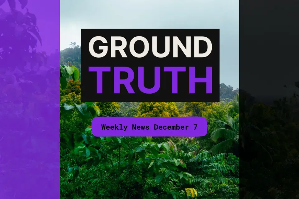 Ground Truth Weekly Forest News December 7