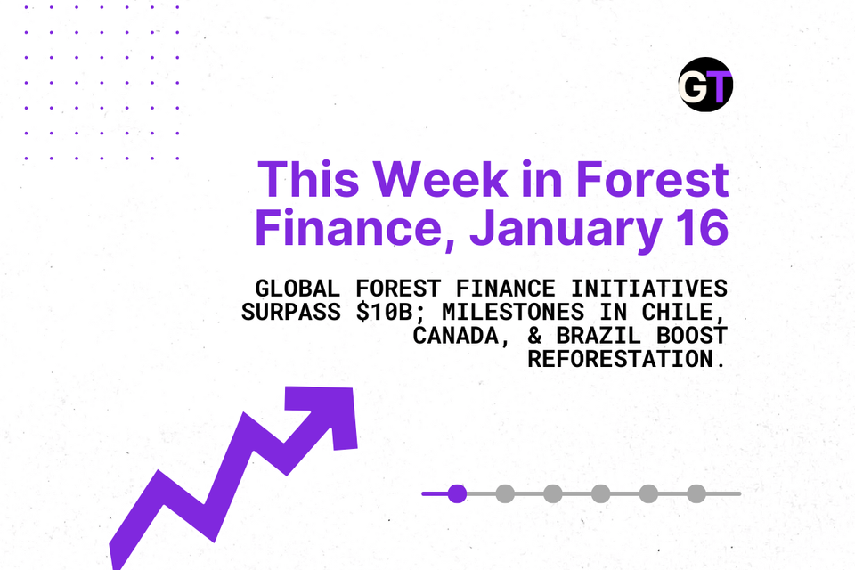 This Week in Forest Finance January 16