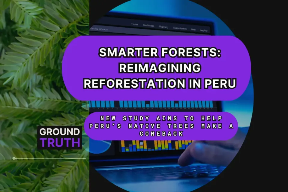 Smarter Forests: Reimagining Reforestation in Peru