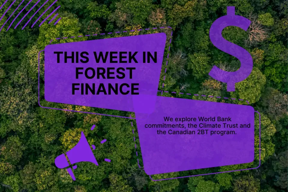 This Week in Forest Finance, January 2