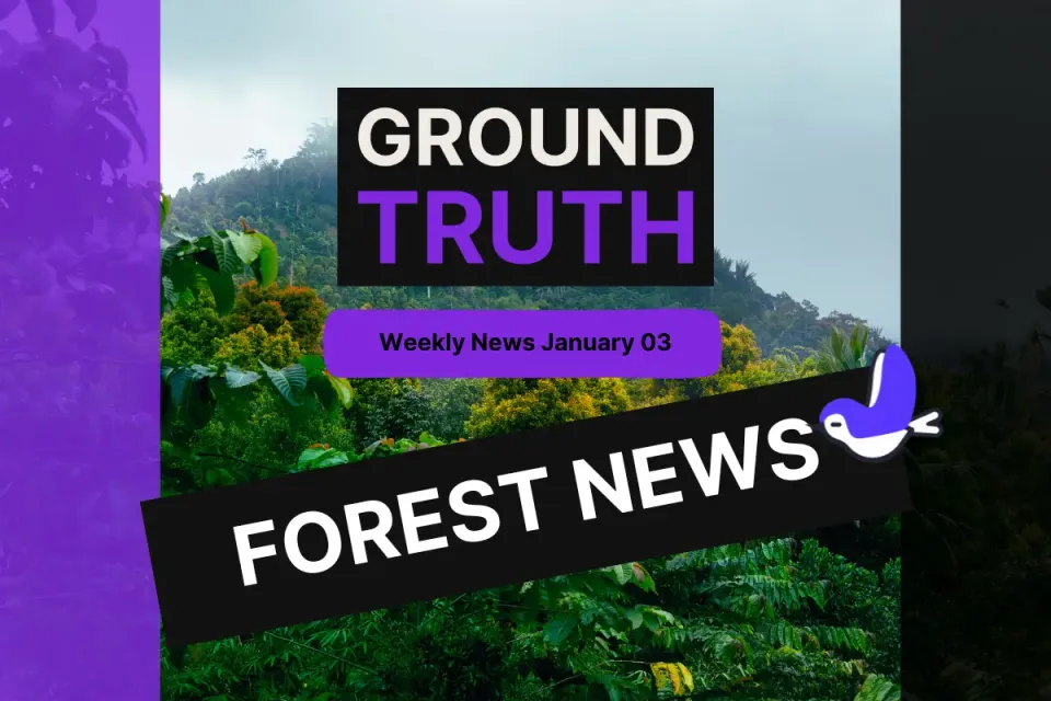 Ground Truth Weekly Forest News January 3