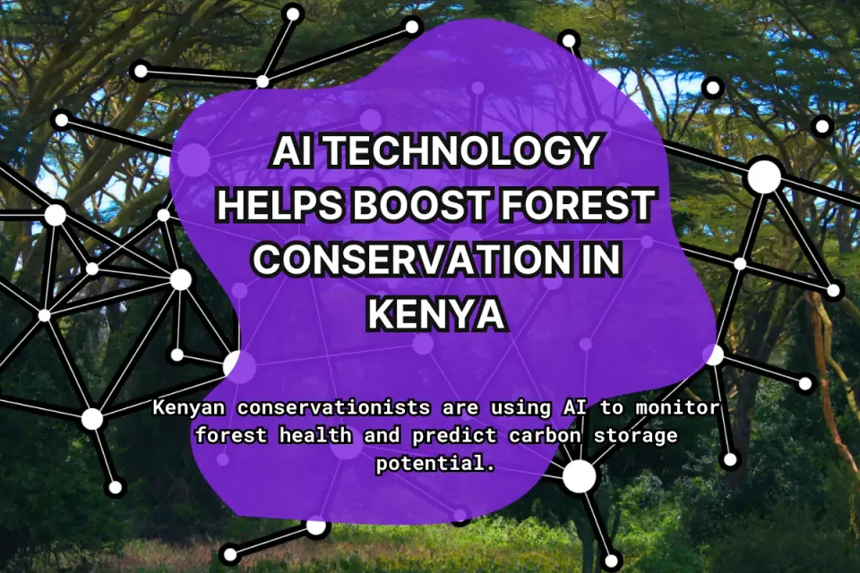 AI Technology Helps Boost Forest Conservation in Kenya