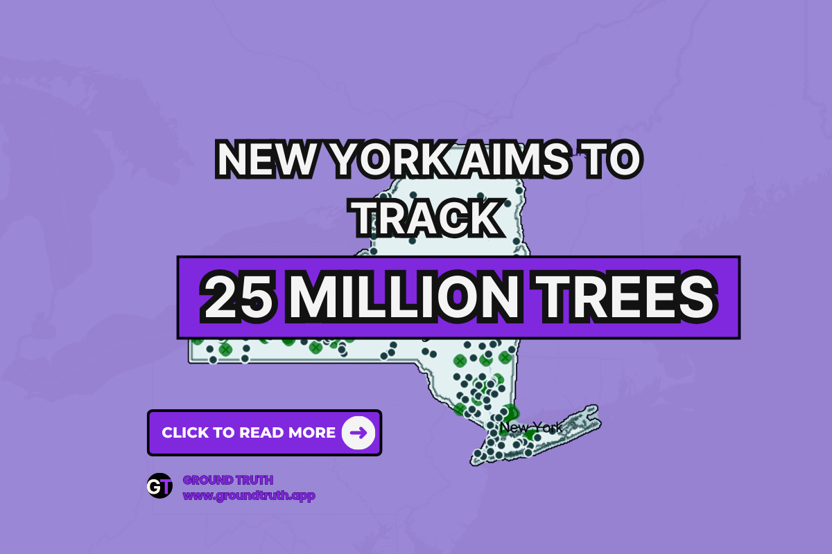 New York Aims to Track 25 Million Trees