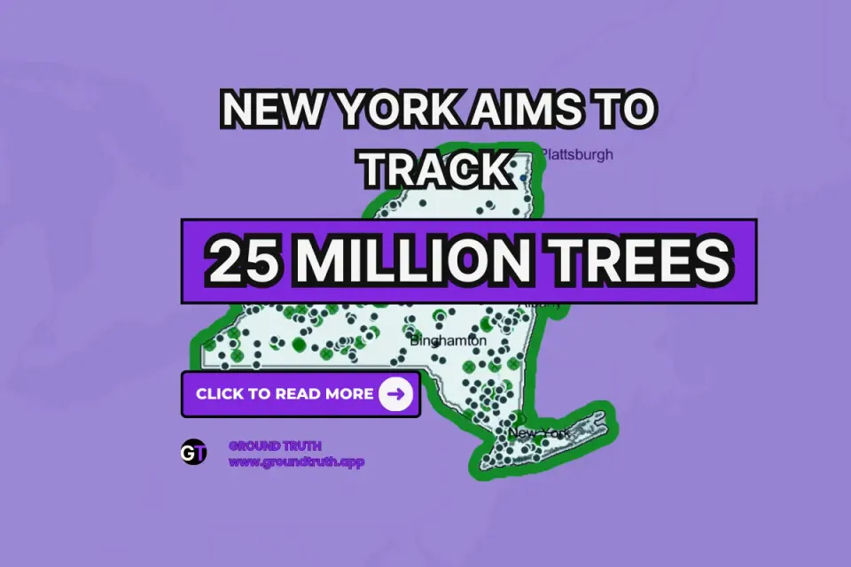 New York Aims to Track 25 Million Trees