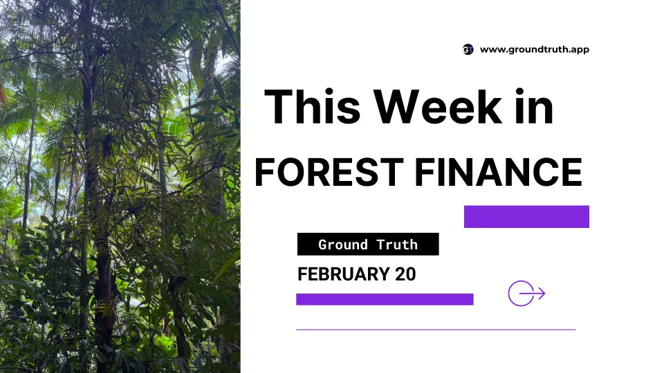 This Week In Forest Finance, February 20