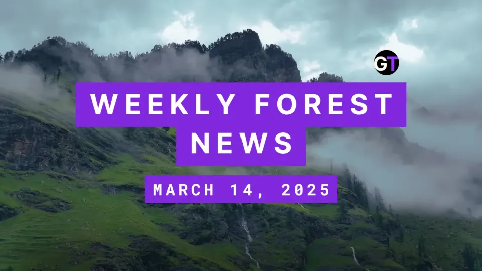 Weekly Forest News March 14