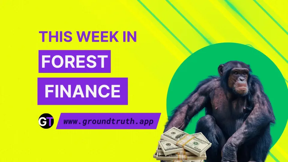 This Week In Forest Finance, March 06