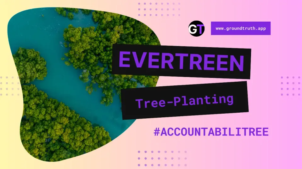 Accountabilitree: Evertreen