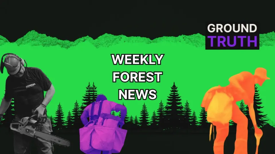 Weekly Forest News, May 9