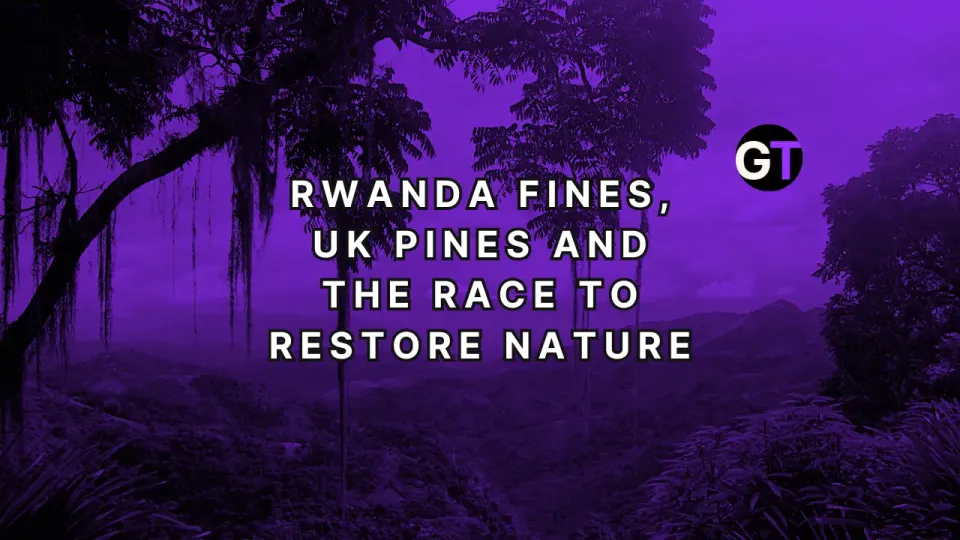 Rwanda Fines, UK Pines and the Race to Restore Nature