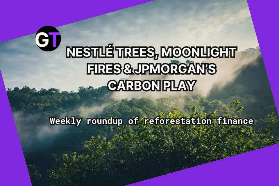 Nestlé Trees, Moonlight Fires & JPMorgan’s Carbon Play