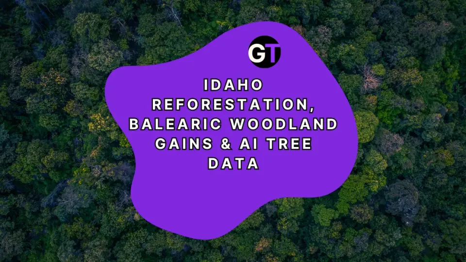 Idaho Reforestation, Balearic Woodland Gains & AI Tree Data