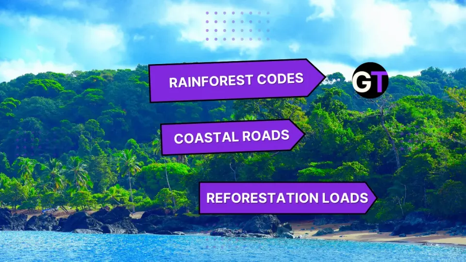 Rainforest Codes, Coastal Roads and Reforestation Loads
