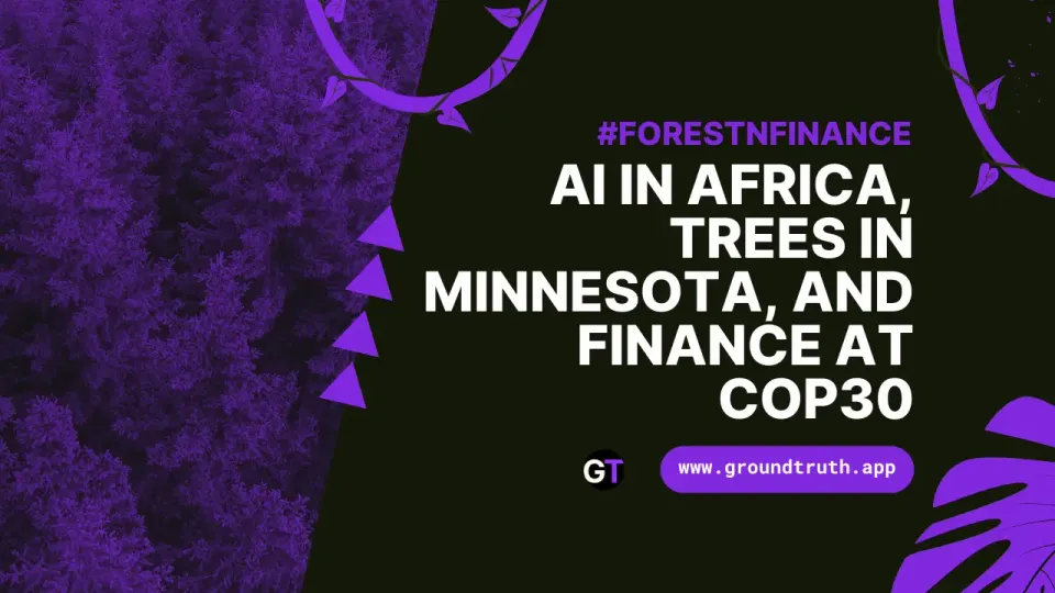 AI in Africa, Trees in Minnesota, and Finance at COP30