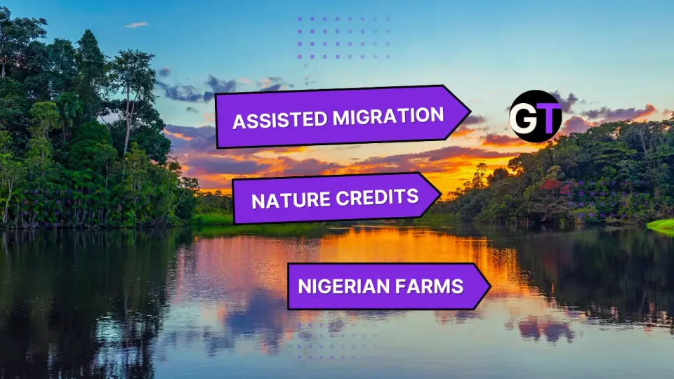Assisted Migration, Nature Credits & Nigerian Farms